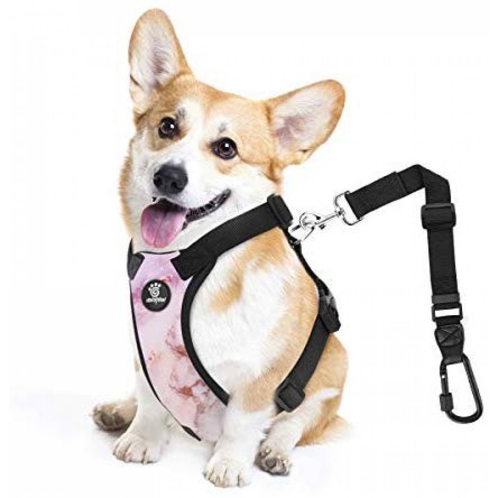 Arnés de seguridad VavoPaw para perro M ajustable -púrpura