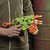 Pistola de Juguete NERF c/12 Dardos y 3 Cañones -Verde
