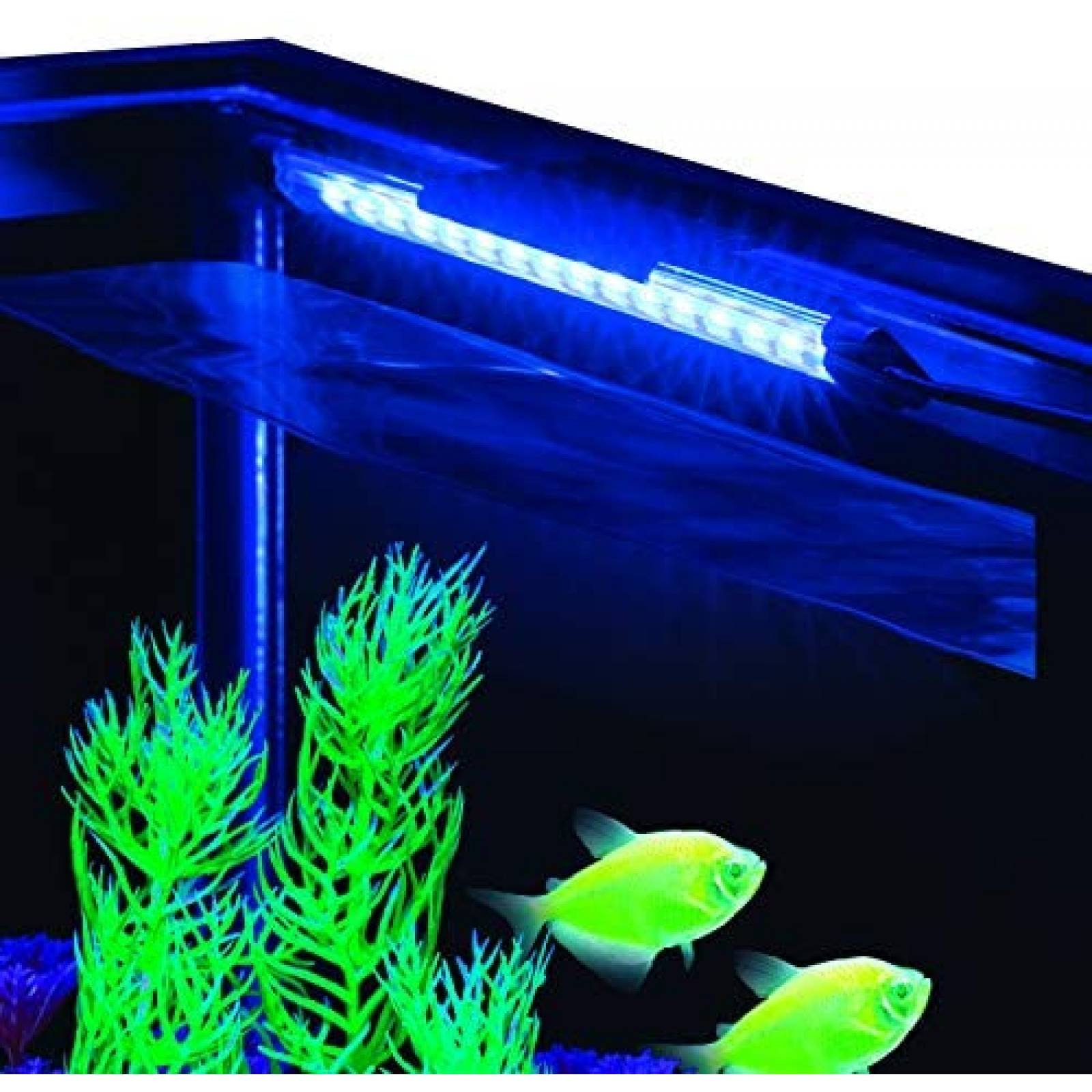 Lámpara LED GloFish para Acuario de 10 Gal Universal -Azul