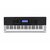 Inc. de Casio CTK4400 61 teclas Touch teclado Personal sensi