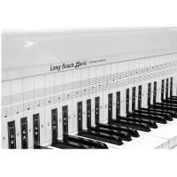 Gráfico Práctica De Piano Teclado Long Beach Music