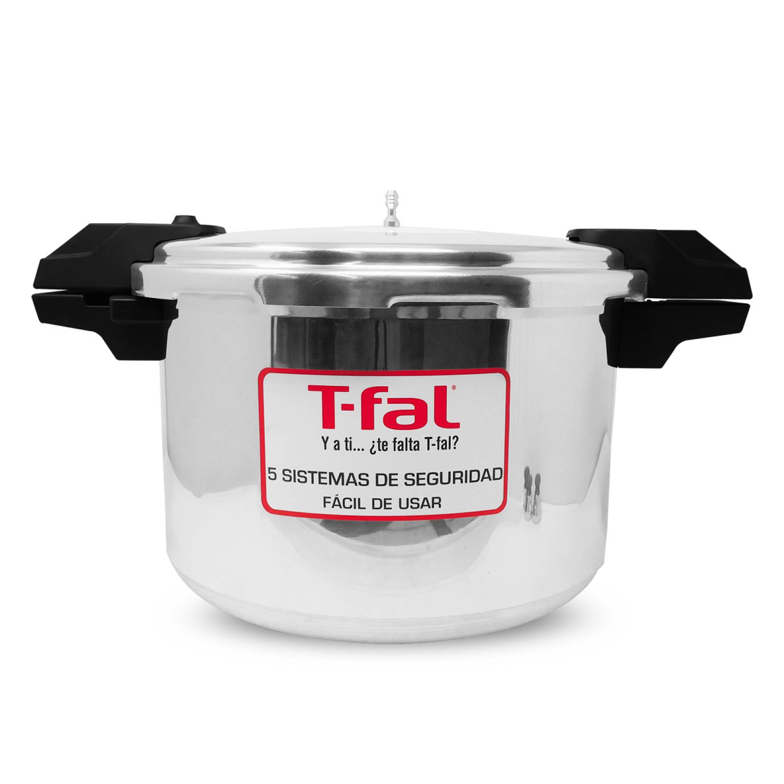 Olla De Presión Express 16 Qt (15 L) Aluminio T fal YL307LA10