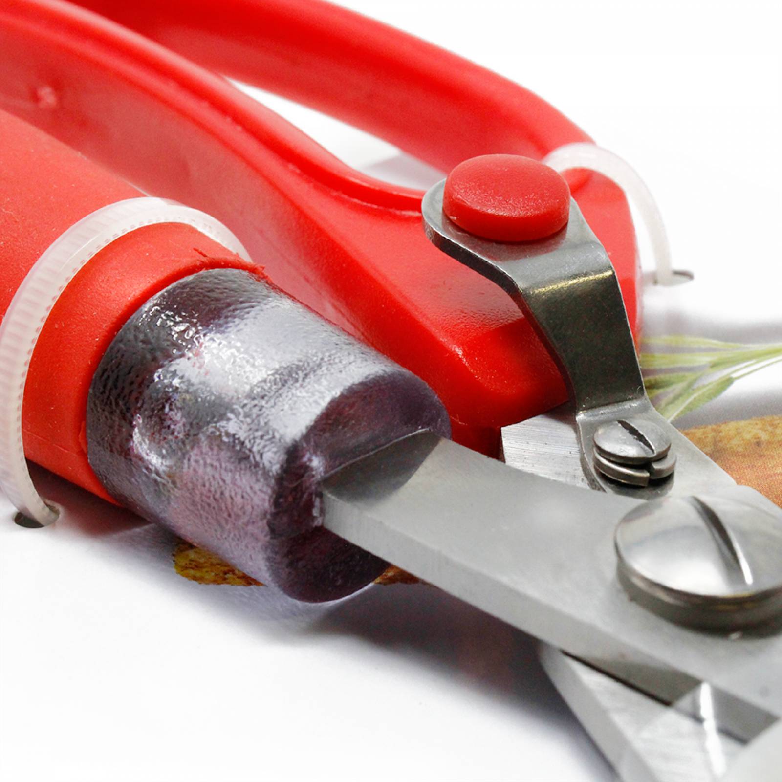 Tijeras De Cocina Para Cortar Carne Rojo T fal K0610754