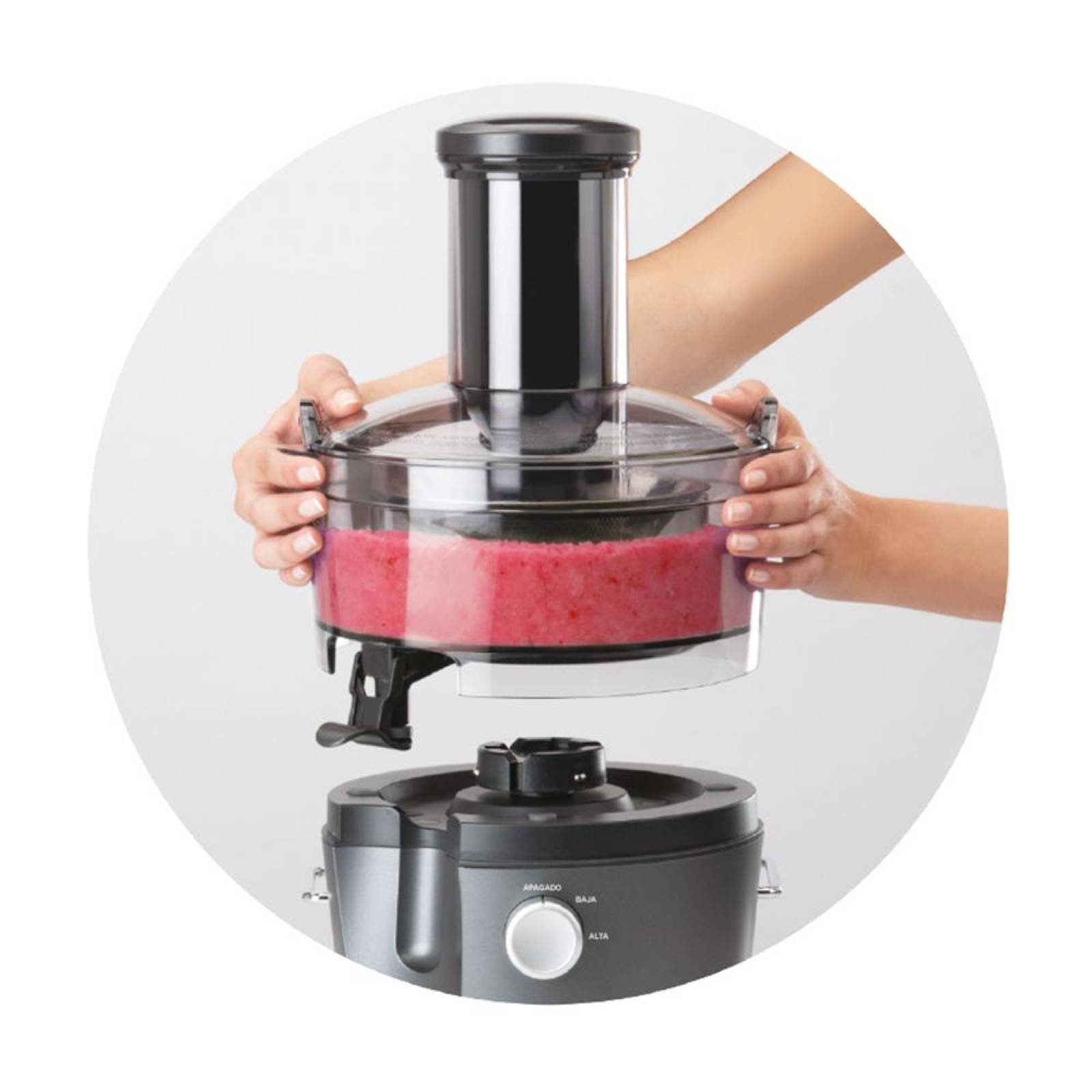 Extractor de jugos Nutribullet Juicer Accesorios 800 W 