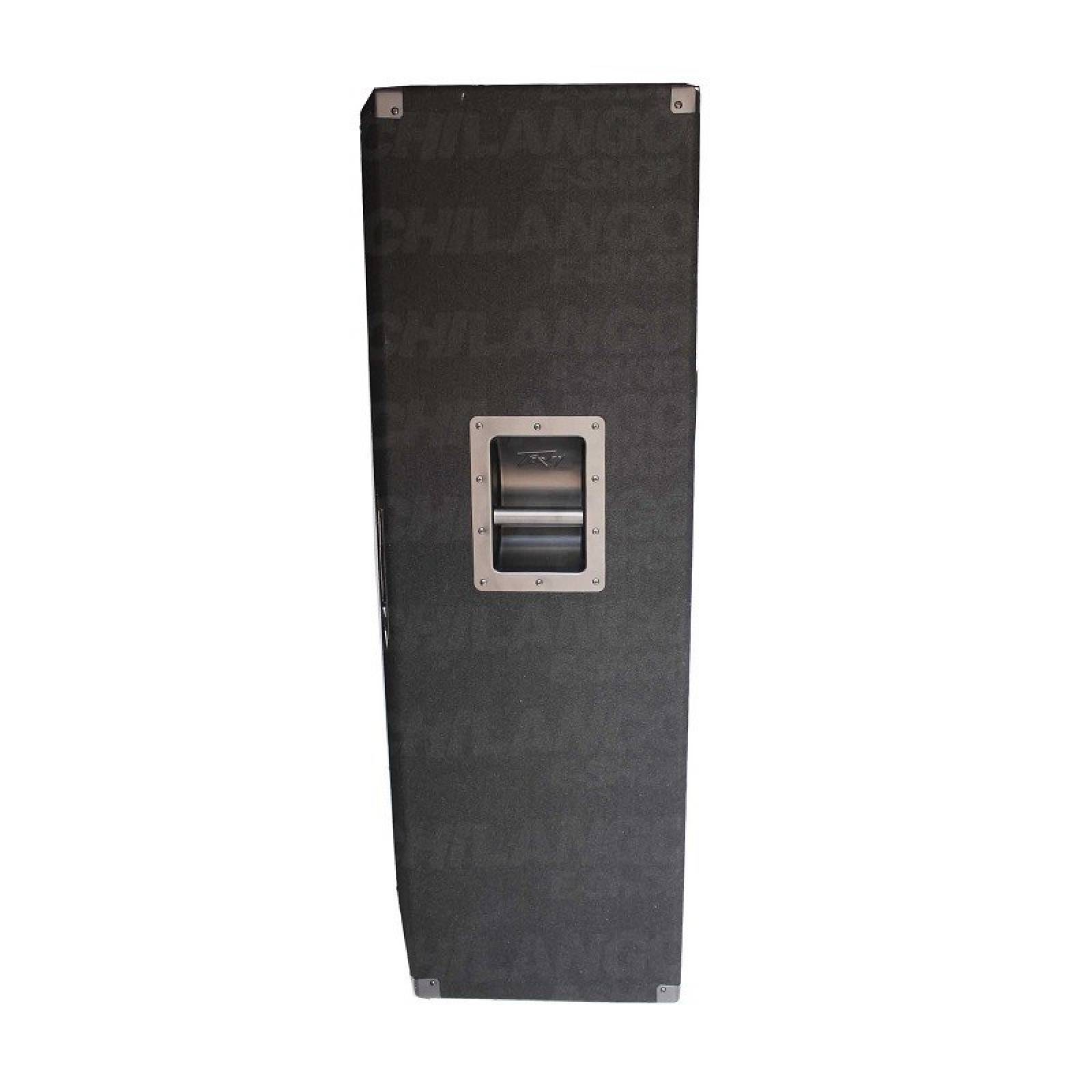 PEAVEY PV 215 PROFESIONAL CONCERT DOBLE 15 
