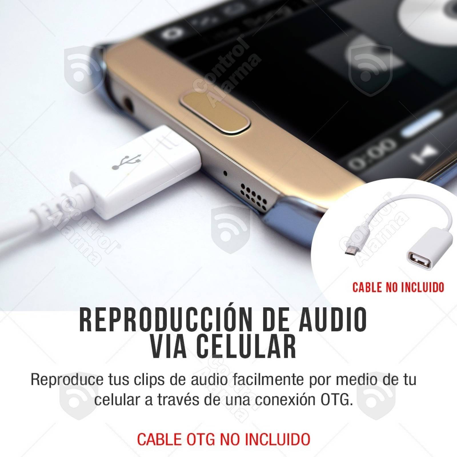 Usb Espia Grabadora Voz Oculta Microfono Discreta Portatil