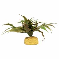Replica De Planta Cactus Estrella Terrario Reptil Exo Terra