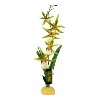 Replica De Planta Cactus Orquidea Reptiles Anfibio Exo Terra