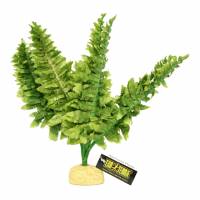 Replica De Planta Helecho Mediano Reptiles Anfibio Exo Terra
