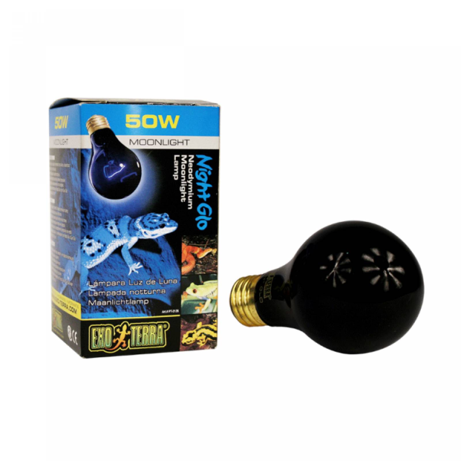 Box Doccia Angolare Elite 80x80 Cm - Vetro Temperato 6 Mm Trasparente, Scorrevole, Colore Argento - Foto 6