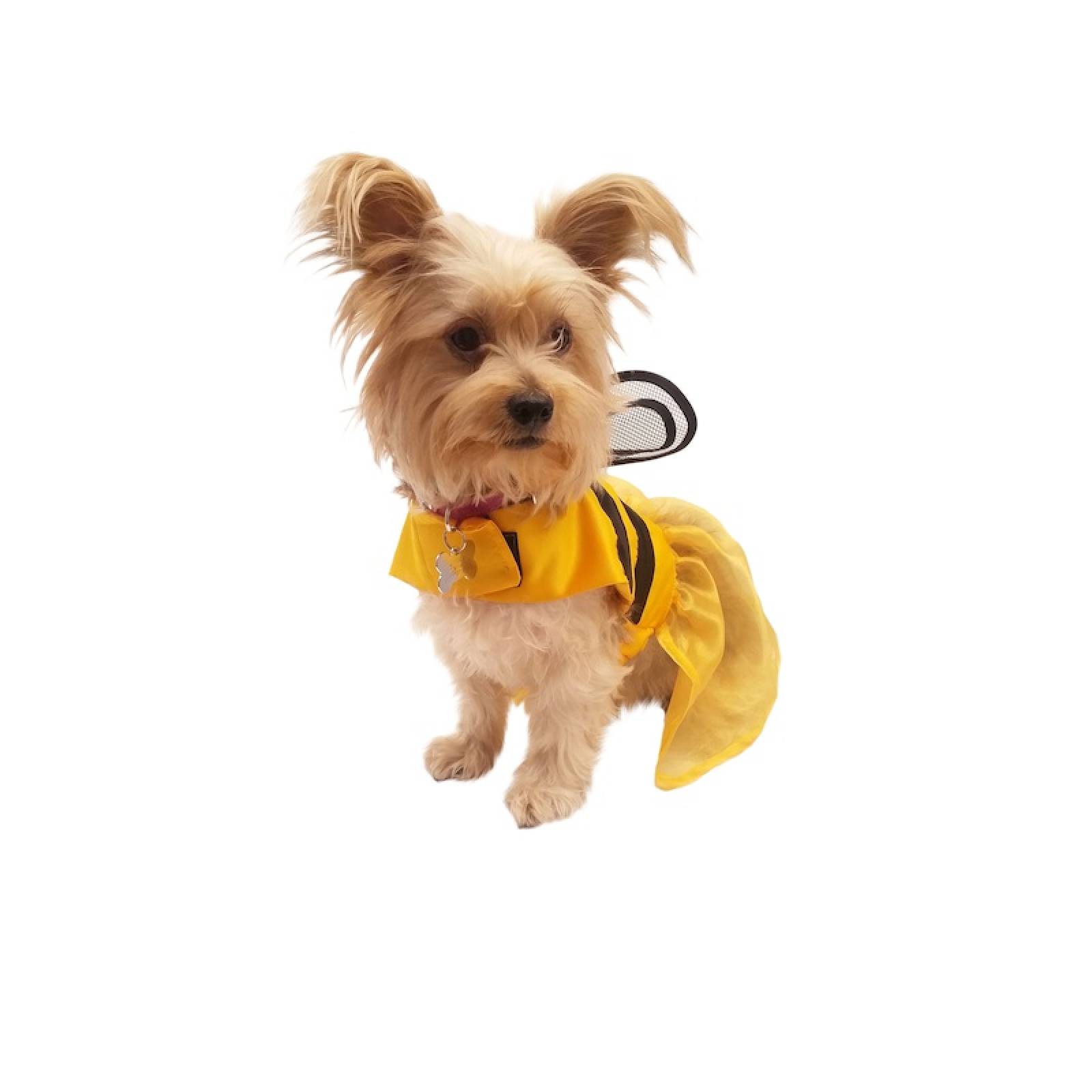 Disfraz Abeja Perro Halloween Talla 1 Mascota Pet Pals