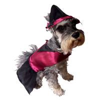 Disfraz Bruja Perro Halloween Talla 4 Mascota Pet Pals