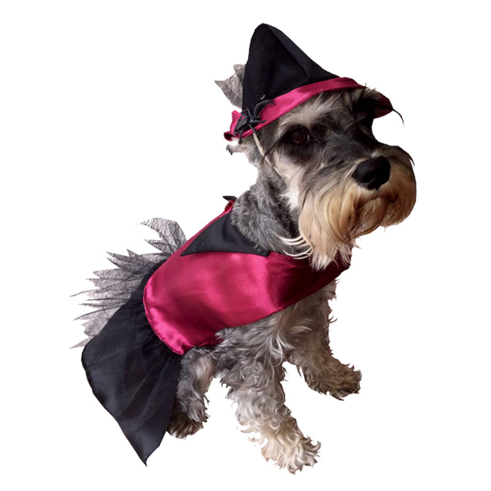 Disfraz Bruja Perro Halloween Talla 4 Mascota Pet Pals