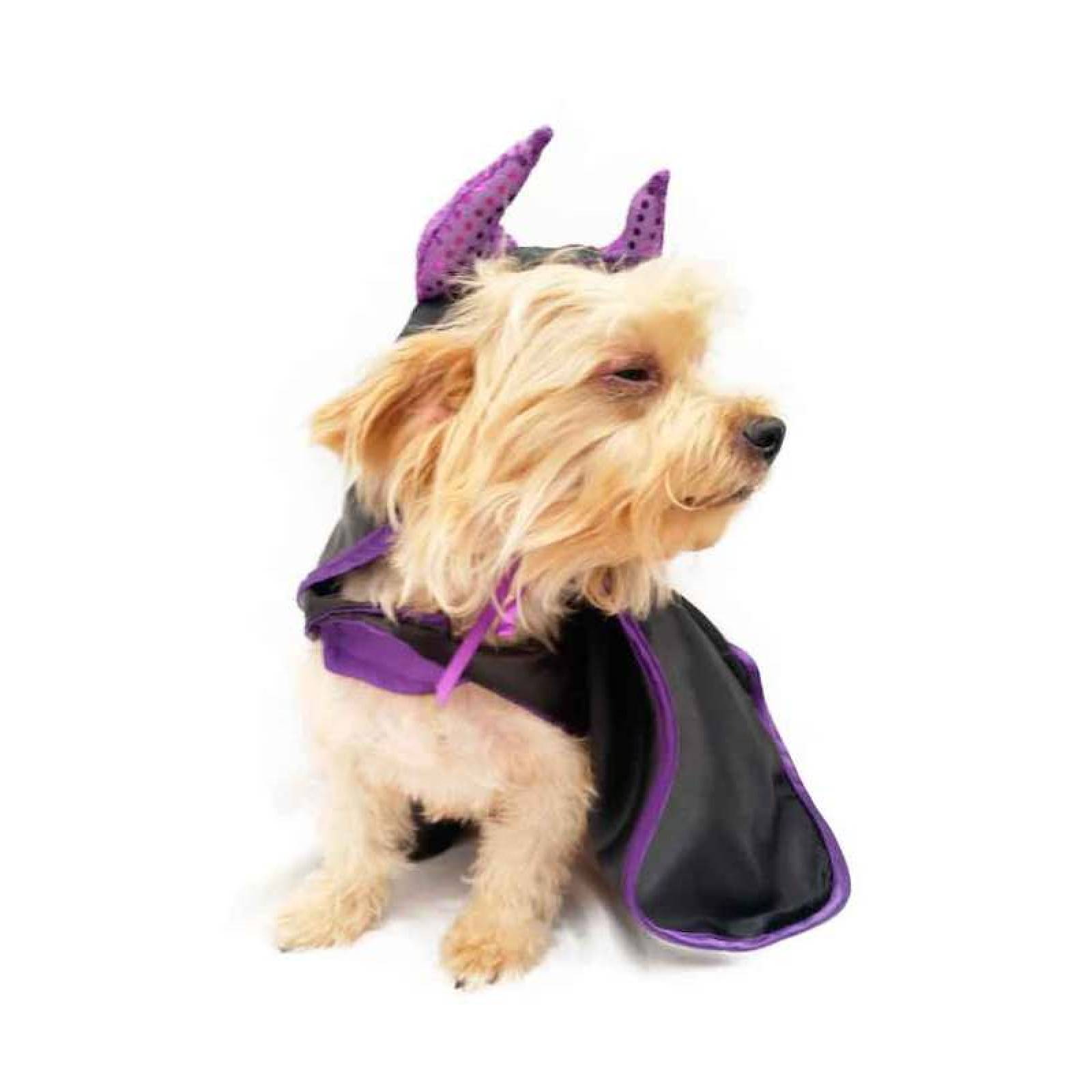 Disfraz Malefican Perro Halloween Talla 0 Mascota Pet Pals