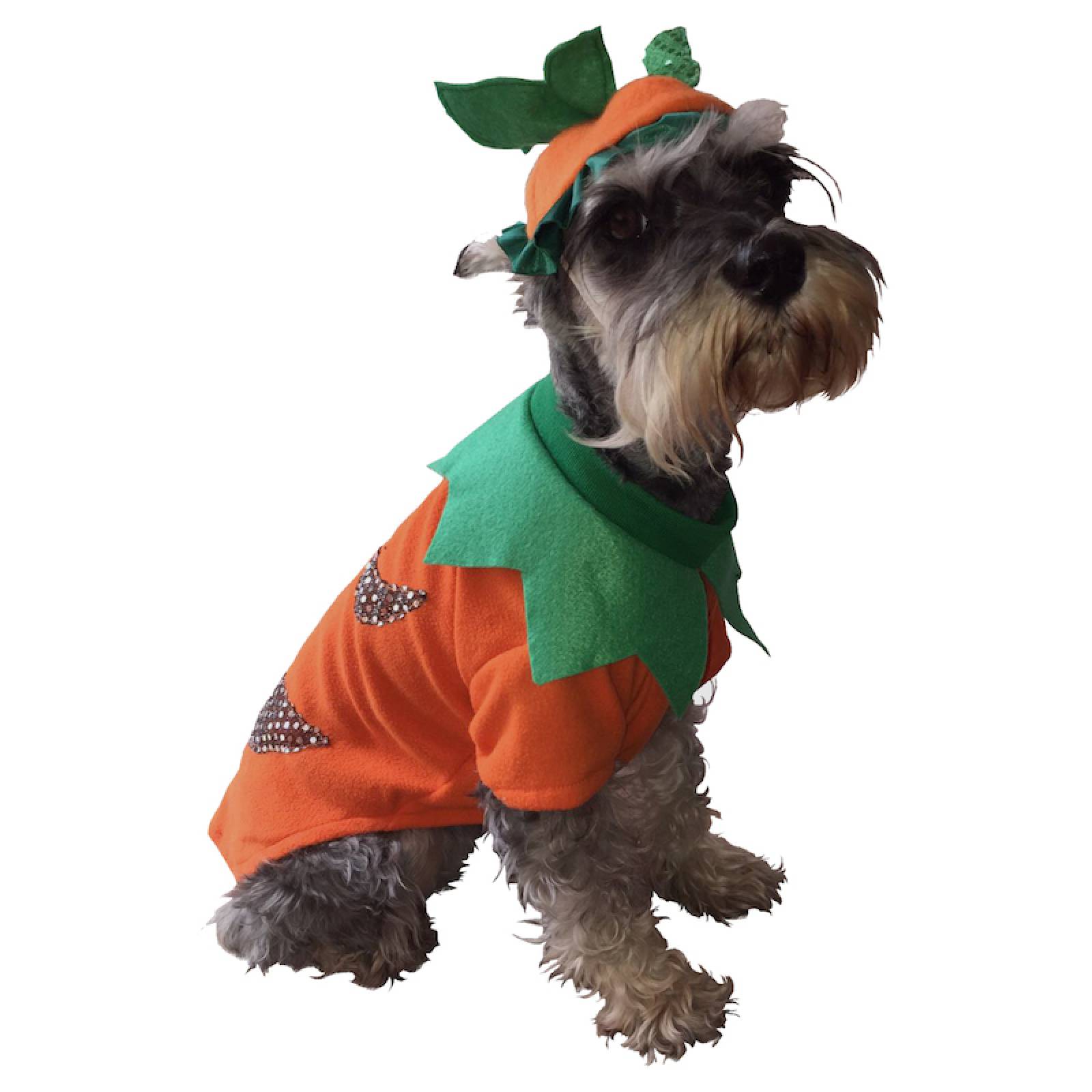 Disfraz Calabaza Perro Halloween Talla 7 Mascota Pet Pals