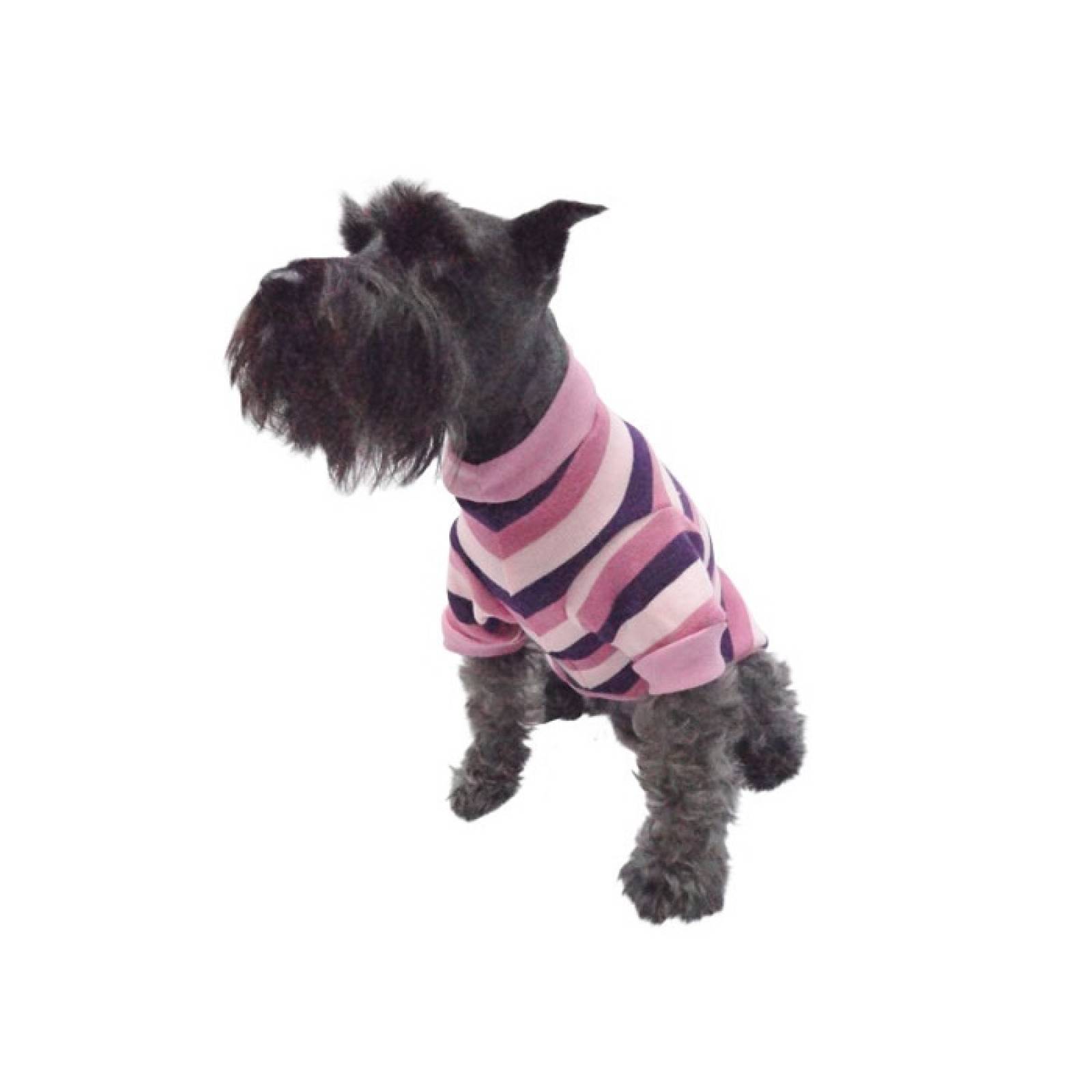 SuÃ©ter Punto Rosa Perro Rayas Ligero Talla 2 Invierno Pet Pals