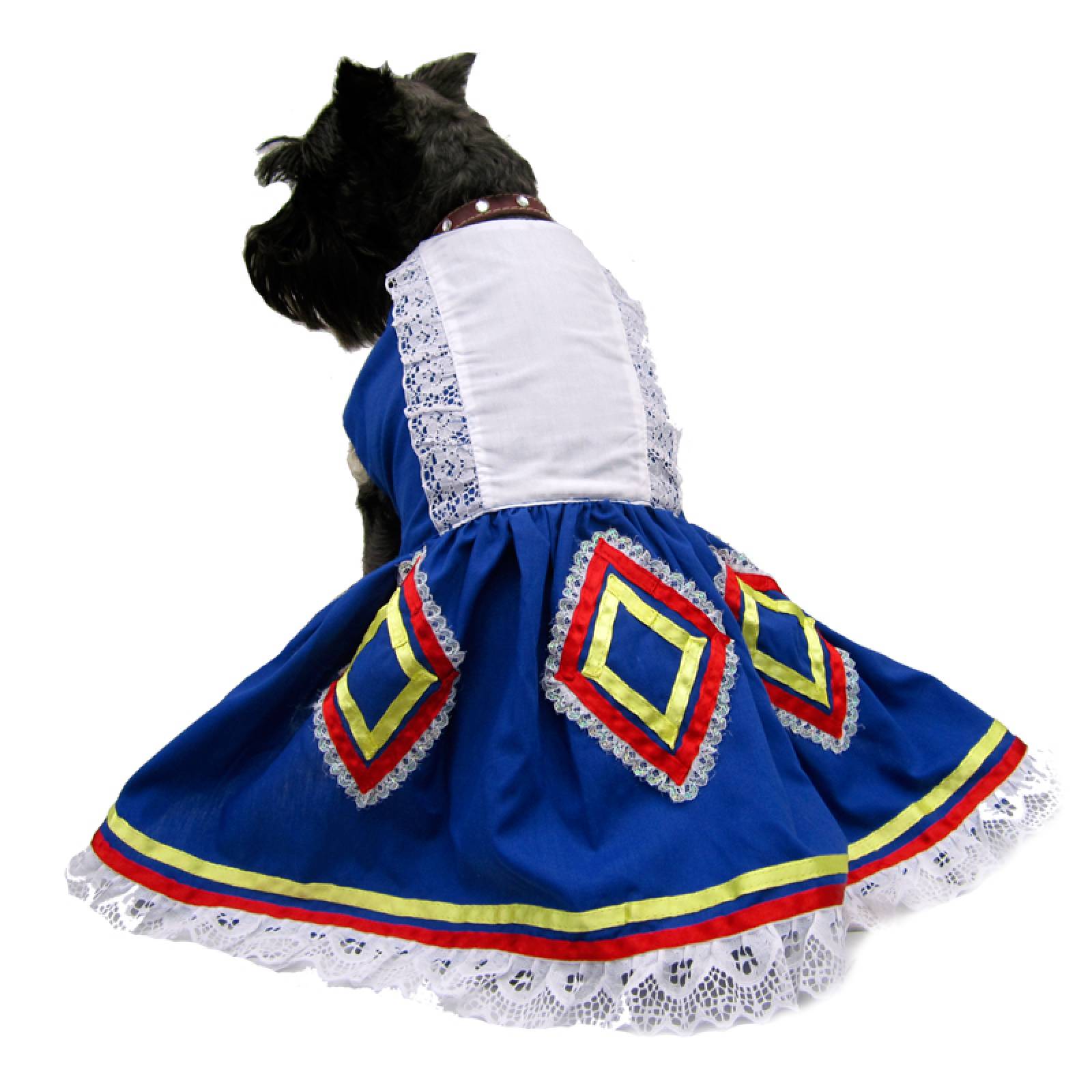 Vestido Perro Traje Típico Jalisco Talla 3 México Azul Pet Pals