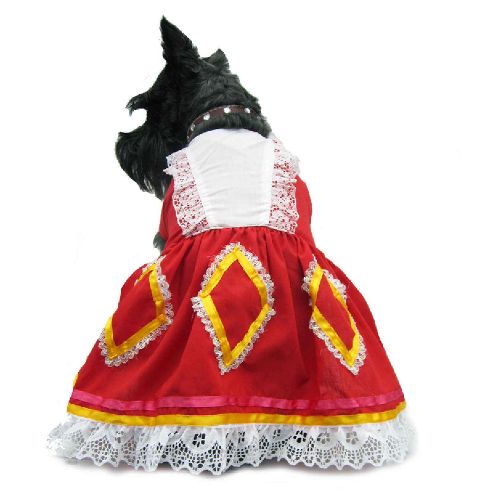 Vestido Perro Traje Típico Jalisco Talla 00 México Rojo Pet Pals