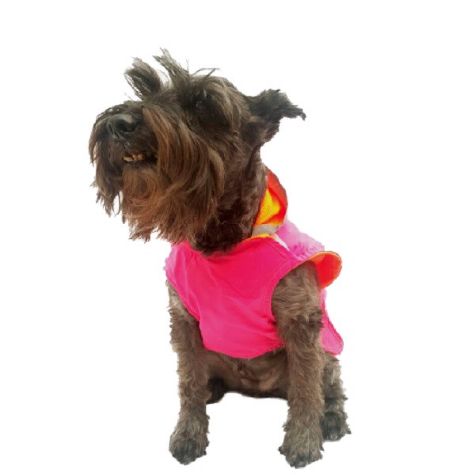 Impermeable Raincoat Fucsia Perro Talla 3 Pet Pals