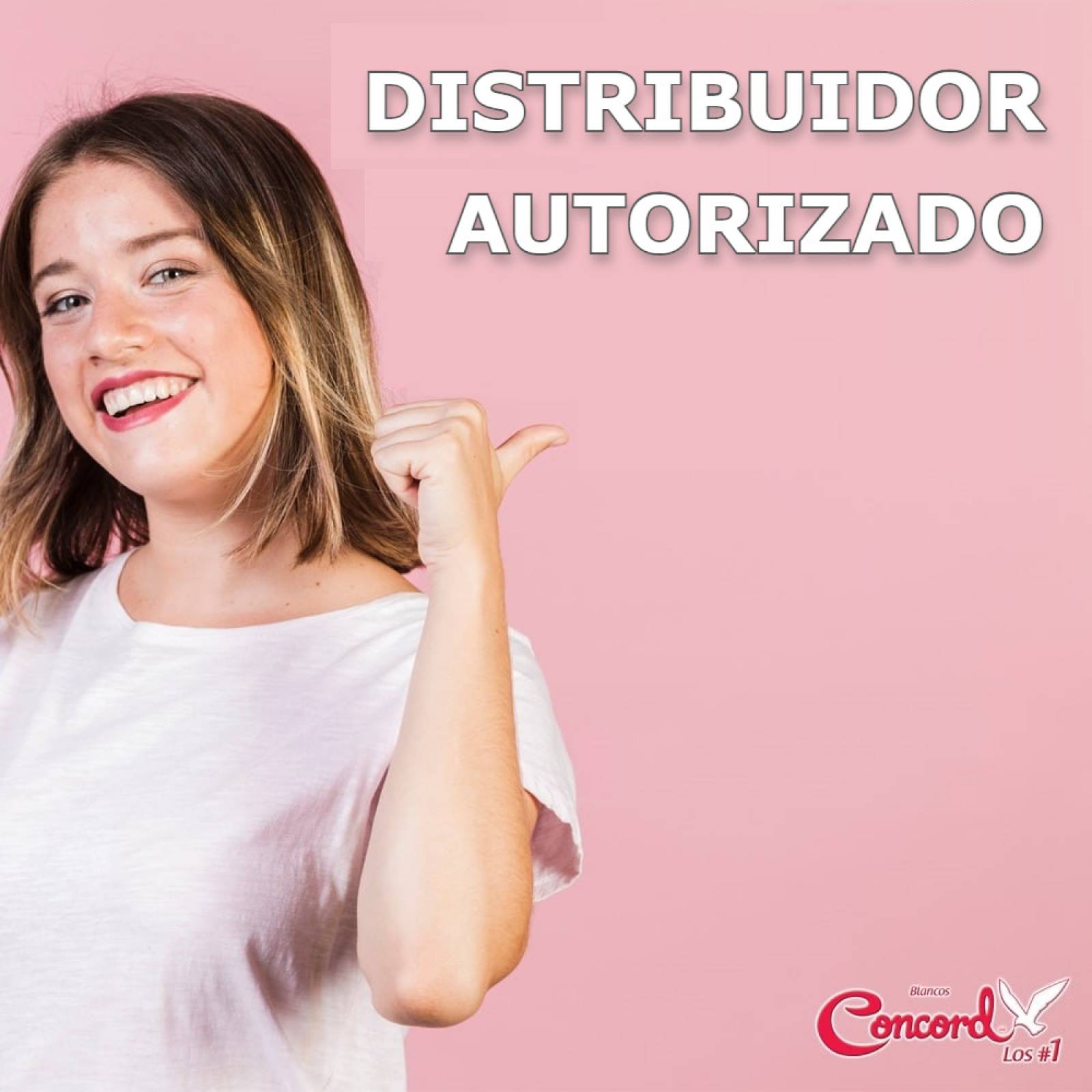 Cojín Microperlas Santa Claus Estándar Poliéster Concord