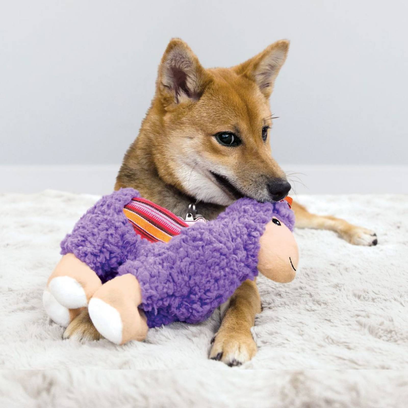 Juguete Peluche Llama Sherps Mediana Morado Perro Kong