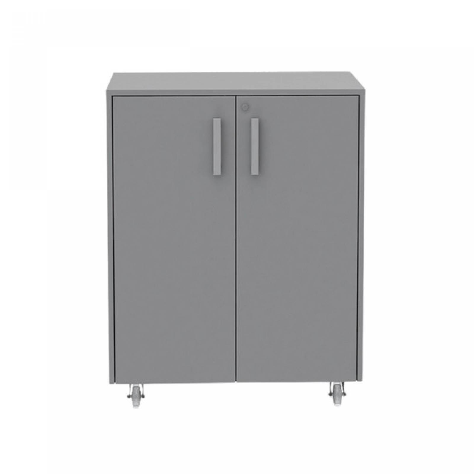 Mueble Armable Basic Based Cabinet Color Gris Excelsior