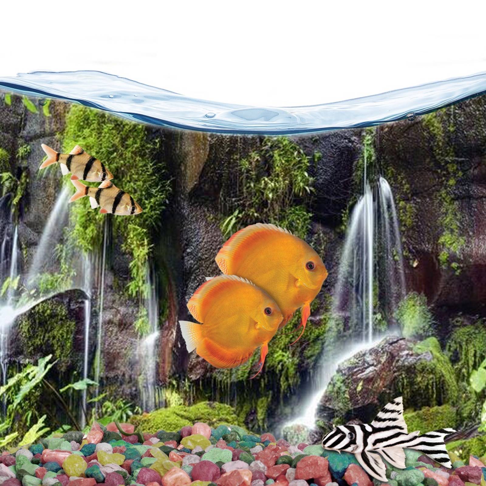 Respaldo Doble Vista Acuario Jardín Cascada 60cm Lomas