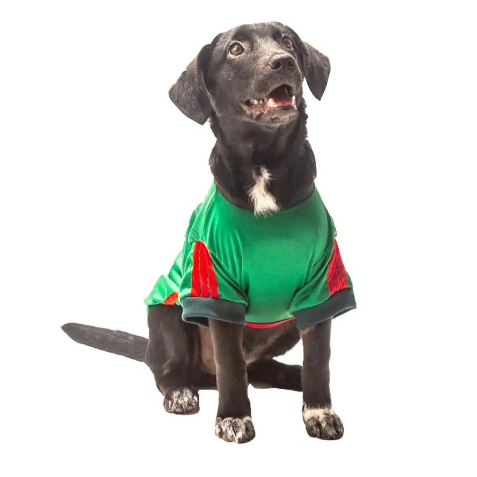 Playera México Mundial Verde Perro Talla 5 Pet Pals