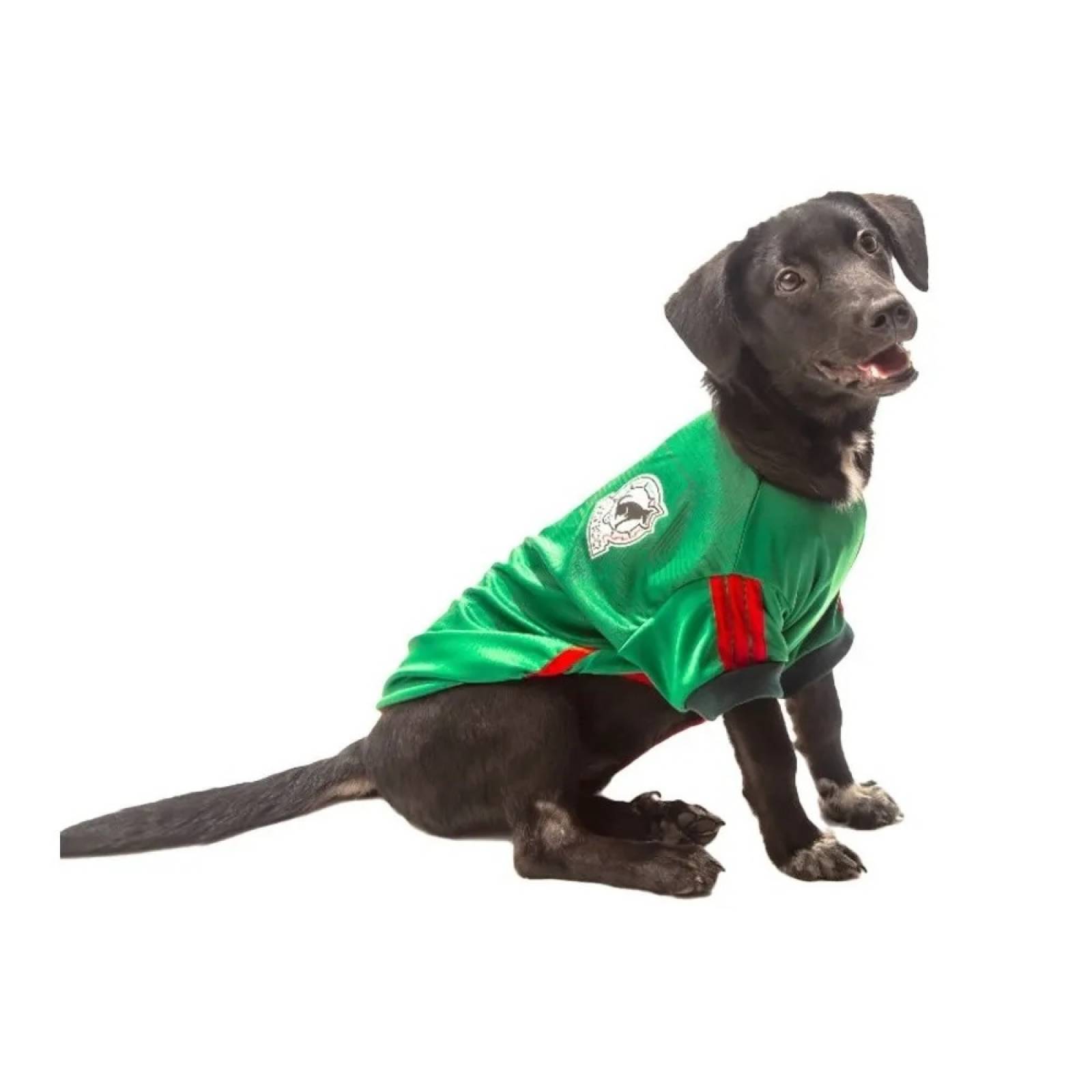 Playera México Mundial Verde Perro Talla 6 Pet Pals
