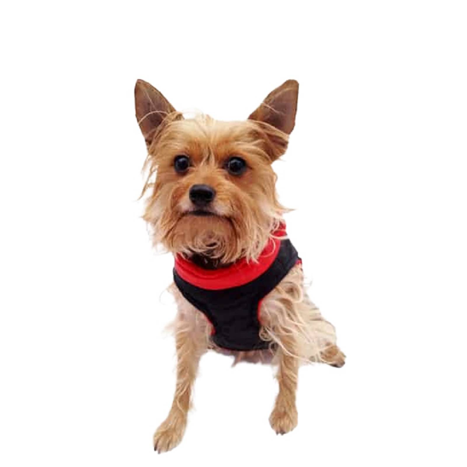 Chaleco Deportivo P/Perro Color Rojo/Negro Talla 0 Pet Pals