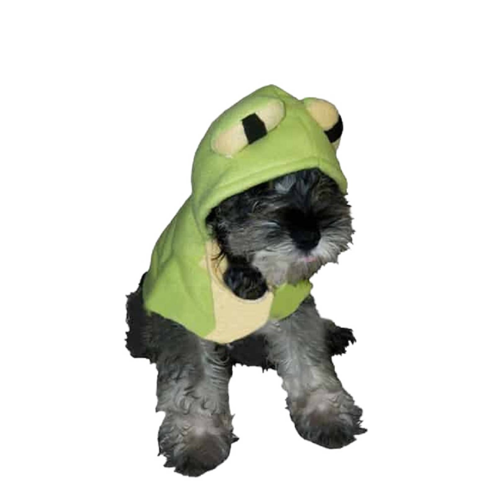 Disfraz D/Rana P/Perro Talla 3 Color Verde Pet Pals