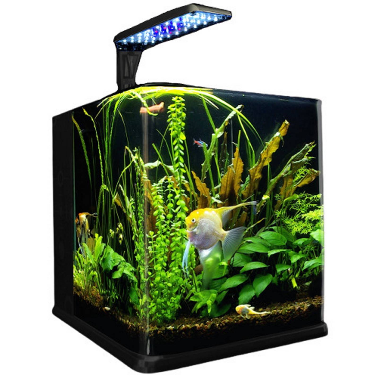 Acuario Nano Cubo 18 Lt Lámpara LED Acuario Lomas Hagen