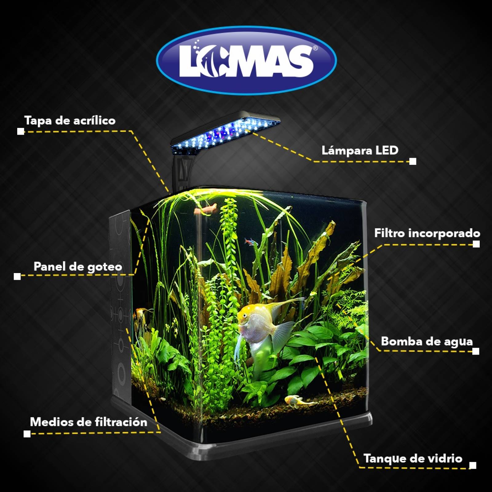 Acuario Nano Cubo 18 Lt Lámpara LED Acuario Lomas Hagen