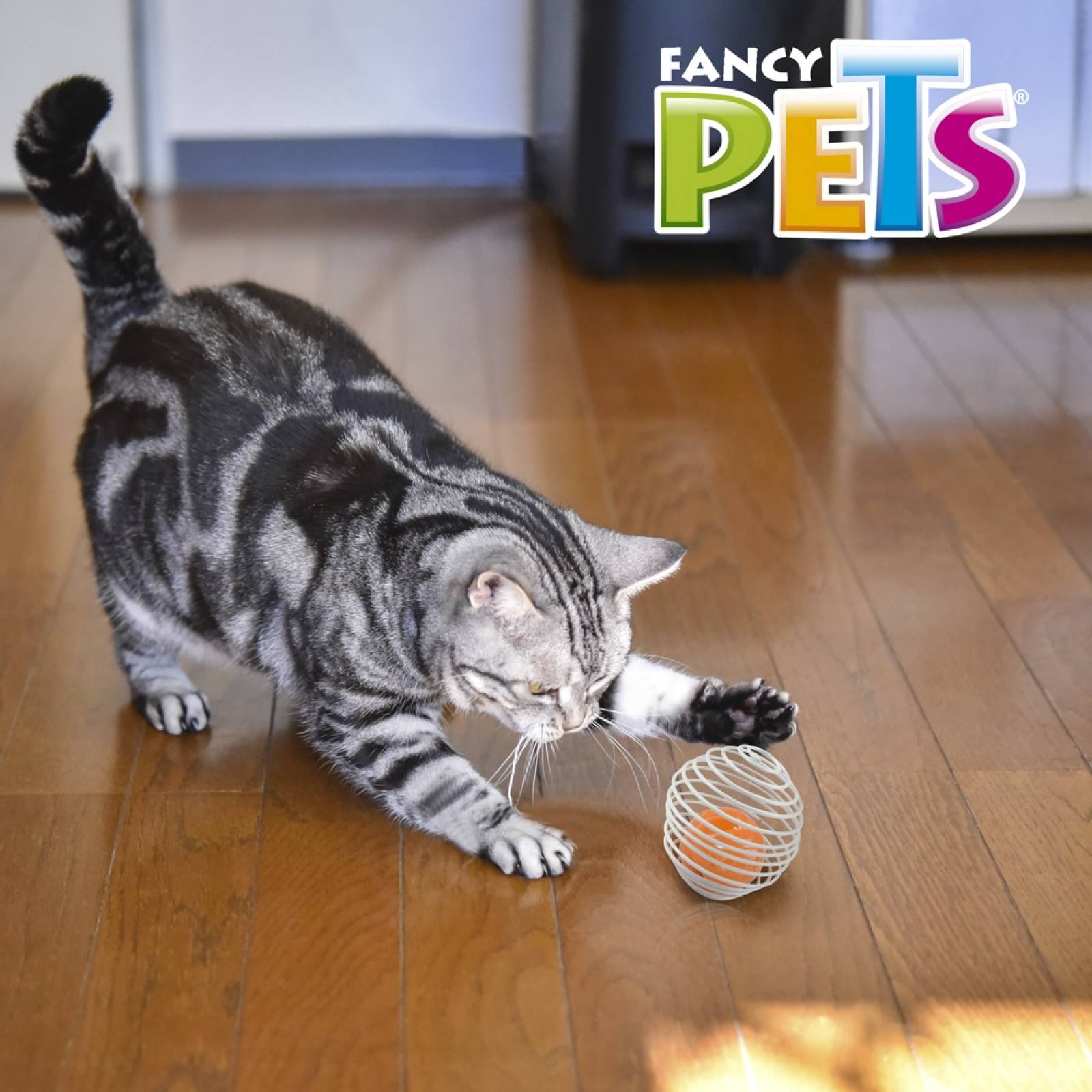 Juguete Para Gato Pelota Enjaulada Fancy Pets Sound