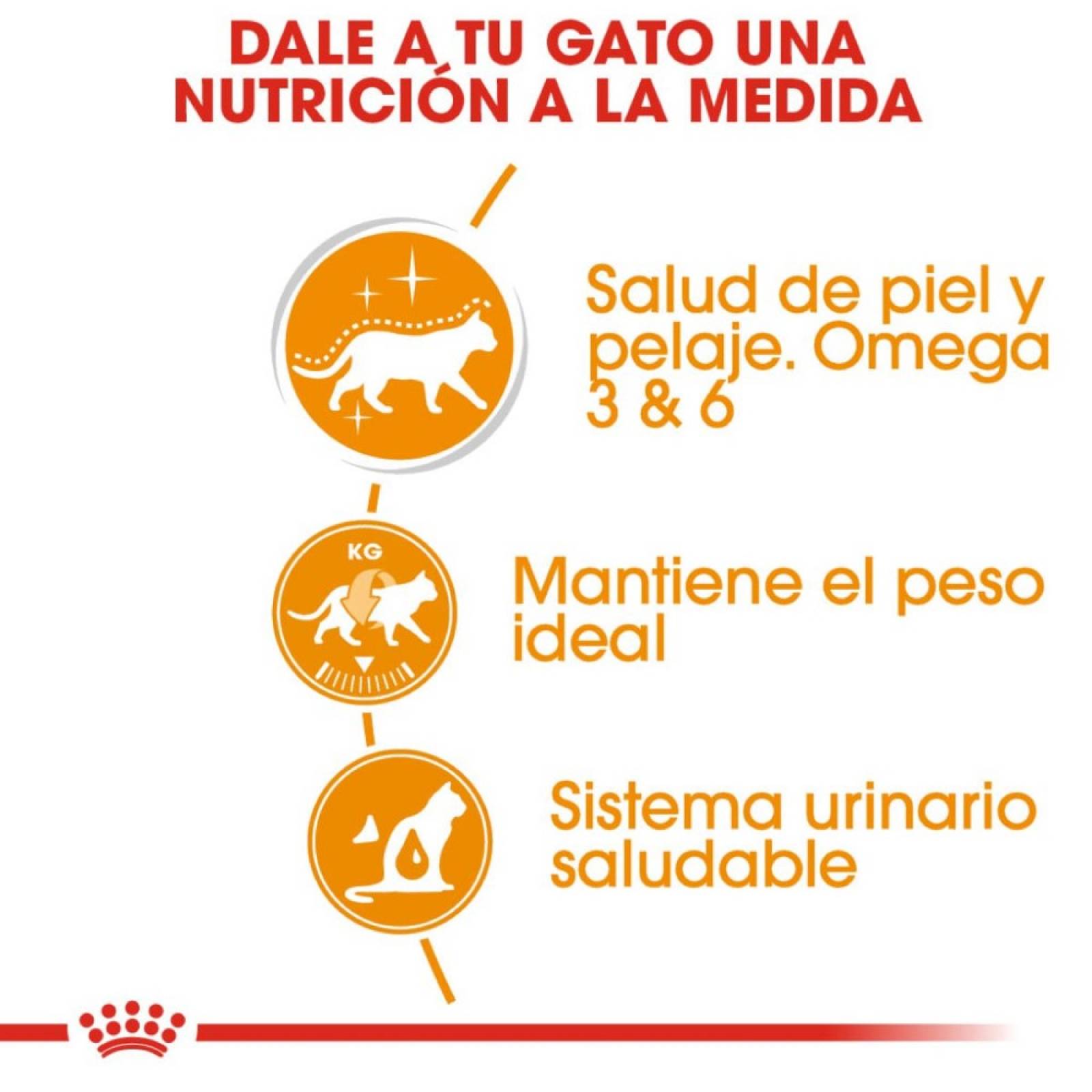 Alimento Húmedo Gato Adulto Intense Beauty 145g Royal Canin