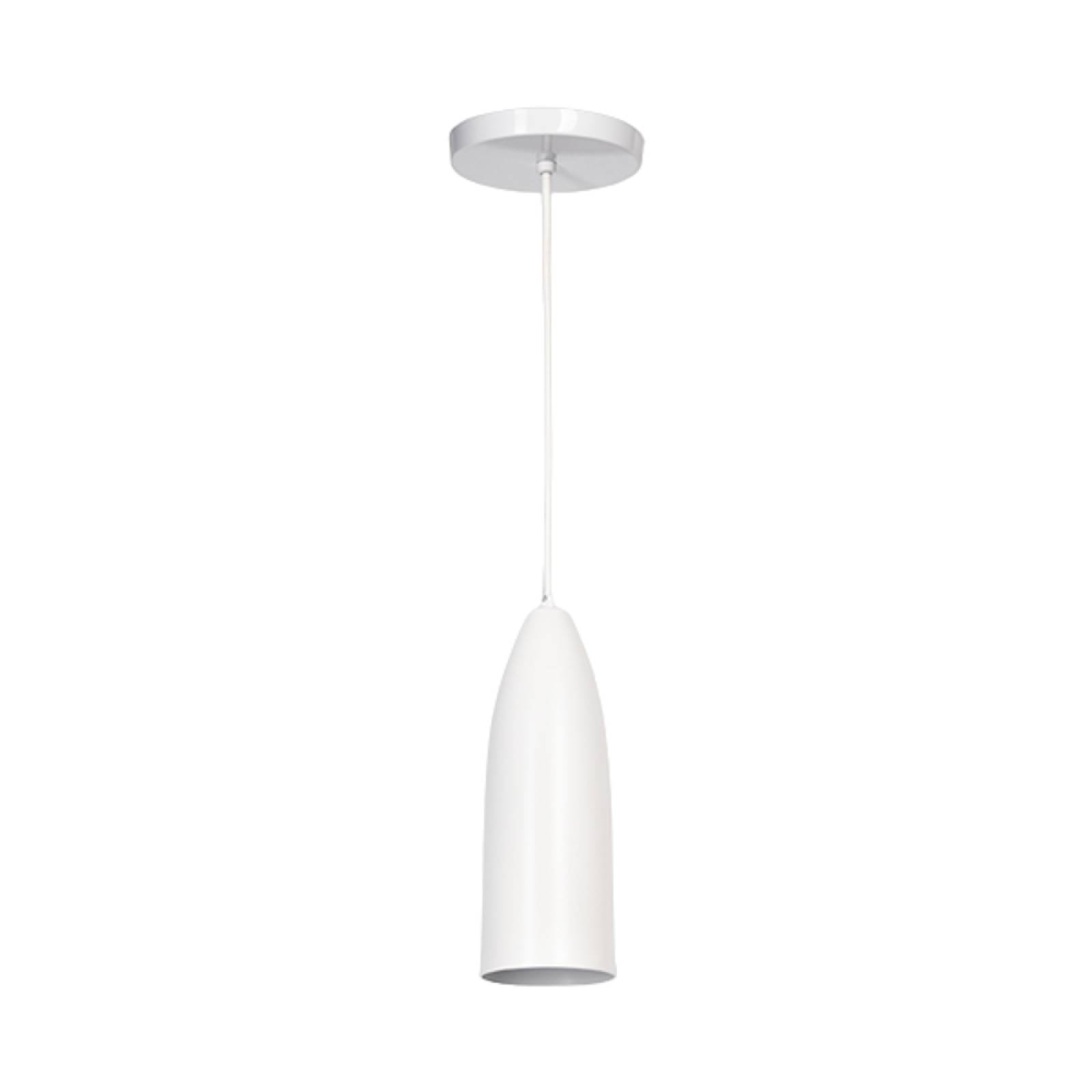 Luminario Colgante Acero Inoxidable Mate Maxxi