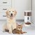 Dispensador Wi-Fi de alimento p/ mascotas con cámara y mic 
