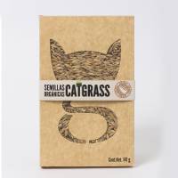 Catgrass Pasto Para Gato De Avena