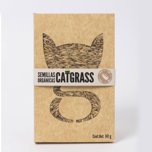 Catgrass pasto para gato de avena