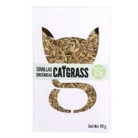 Catgrass Pasto Para Gato De Trigo Y Avena
