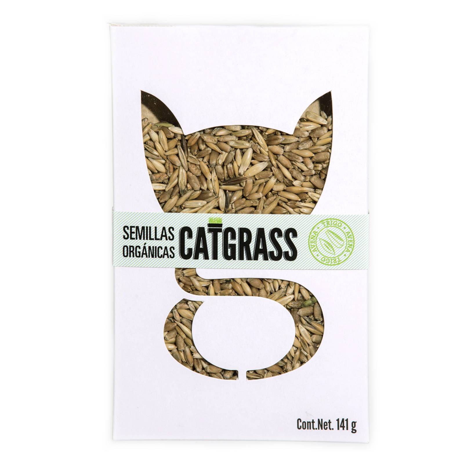 Catgrass pasto para gato de trigo y avena