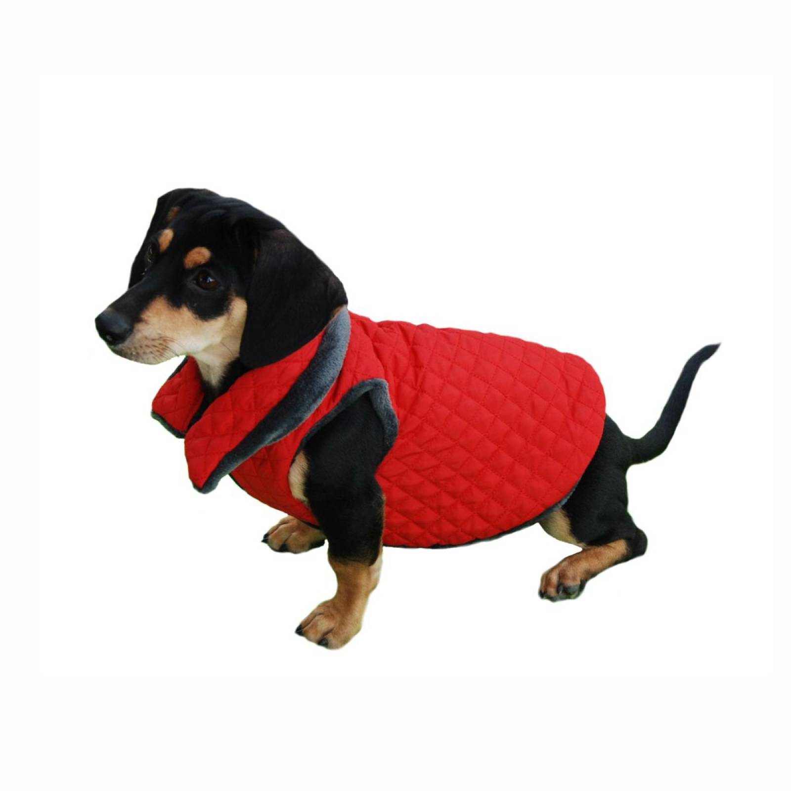 Chaleco para perro Talla 1