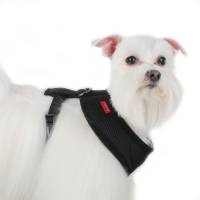 Arnes Puppia Negro