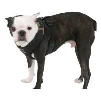 Arnes Puppia Camo