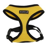 Arnes Puppia Amarillo