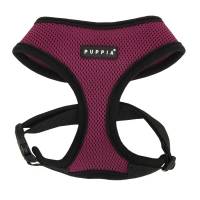 Arnés Puppia Morado