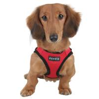Arnés Puppia Tipo Chaleco Rojo