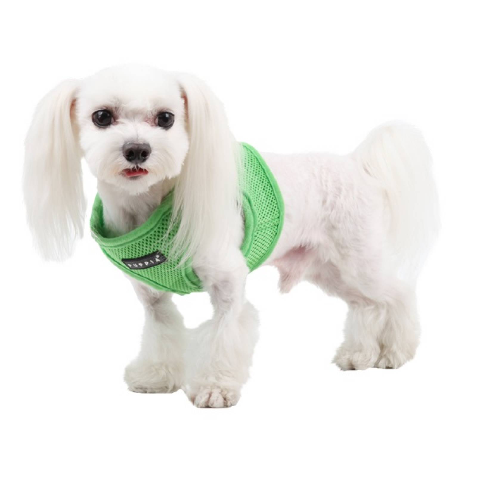 Arnés Puppia Tipo Chaleco Verde