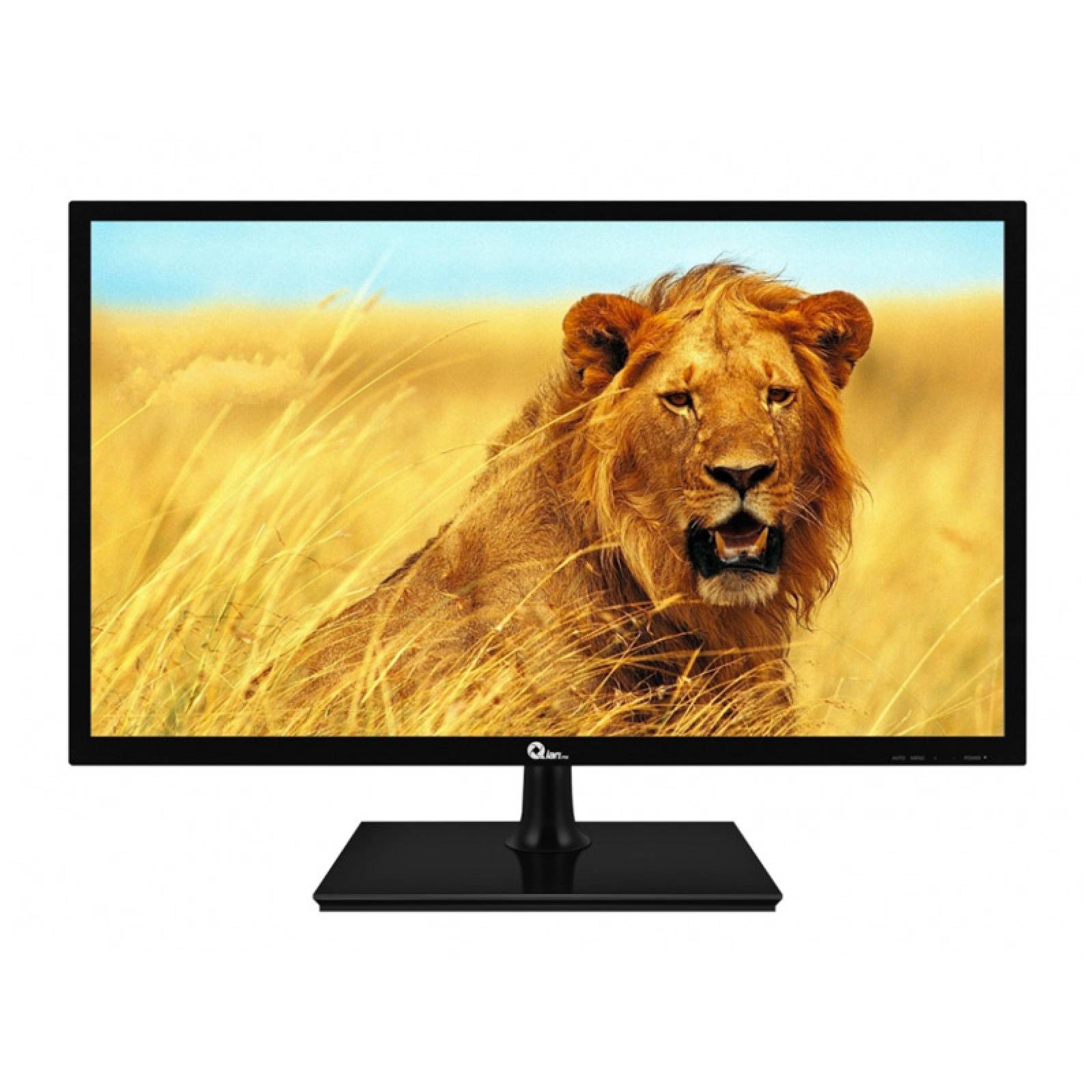 MONITOR QIAN QM19100/QM191702 NEGRO, LED, 19.5", 1600x900, VGA / HDMI, HD (QM191702)