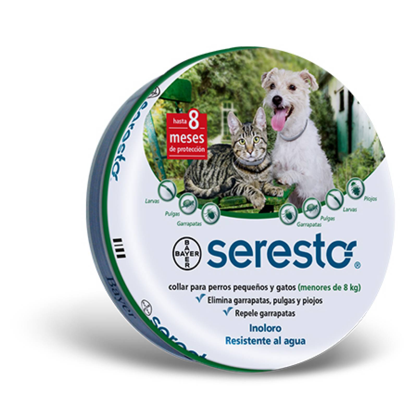 SERESTO Collar para Perros pequeños y Gatos
